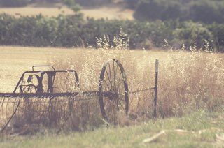 Rural