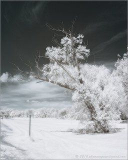 Farewell (Infrared Edition)