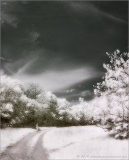 Run down to dream....