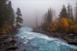 Туманное утро Кучерлы.