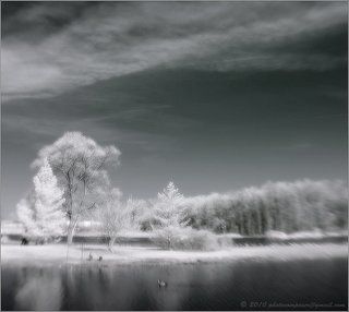 White, soft and warm...