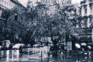 Rainy mood