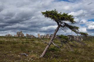 В суровом краю.