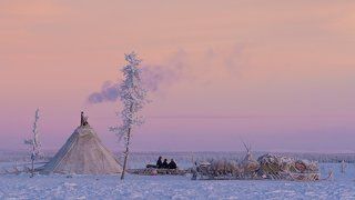 Одни в тундре