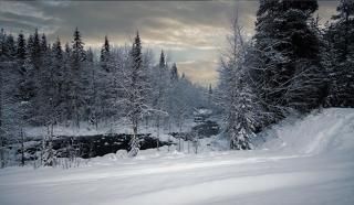 Бегущая в зиму
