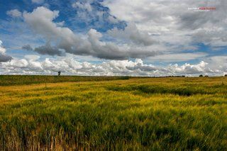 По дороге с облаками среди полей Подмосковья.