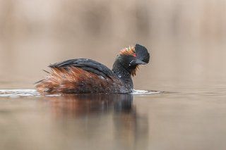 Playing with water