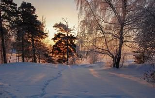 Прохладное