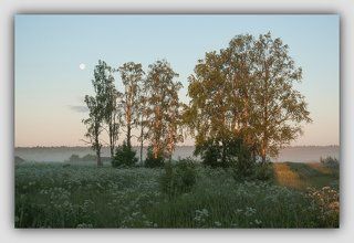 Ранним утром