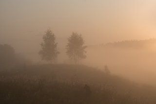Укутаны туманом