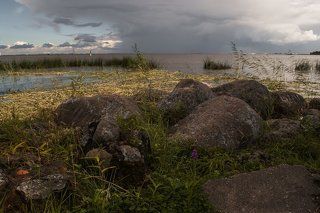 Финский залив