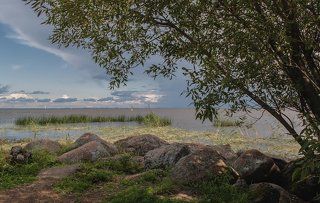 Каменные берега ФинскогоЗалива