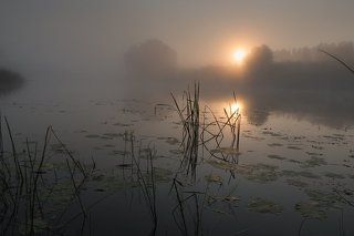 Утро