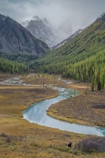 осенняя меланхолия Шавлы