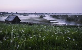 Вечерний туман