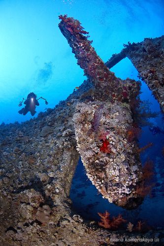 SS Dunraven. Винт.