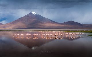 Тайны Laguna Colorado...