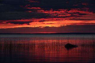 Кровавые сны Онего