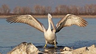 IMG_1073R