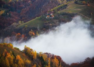 Autumn 2017