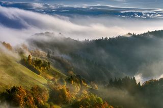 In the morning mist