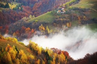 Autumn 2017