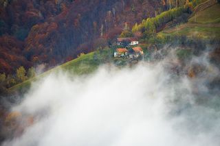 Autumn 2017