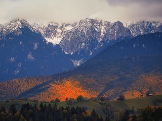 Autumn 2017