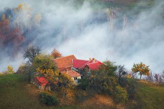 Autumn 2017