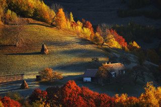Autumn 2015