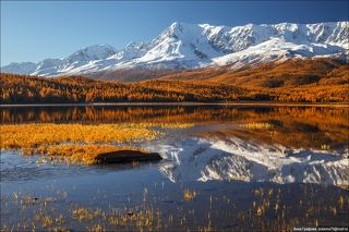 Утренняя гармония)