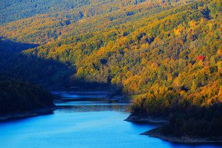 Autumn 2018