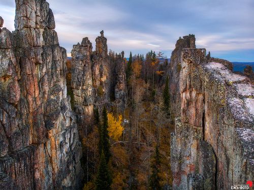 Инзерские зубчатки