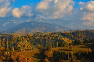Autumn 2018