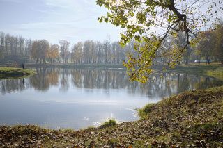 Осень в парке 7