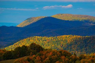 Autumn 2017