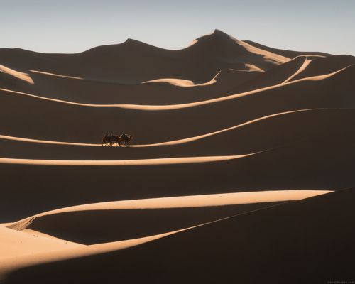 The Silk Road