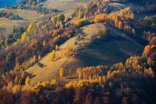 Autumn 2018