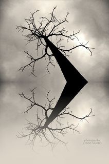 Reflections