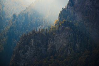Autumn 2018