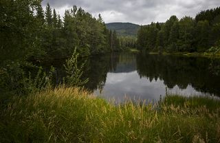 Лесное озеро