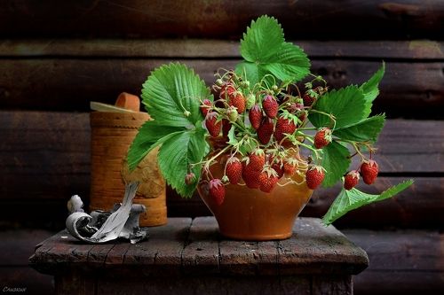 Вариации с клубникой