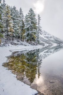 заснеженным утром в зеркале воды