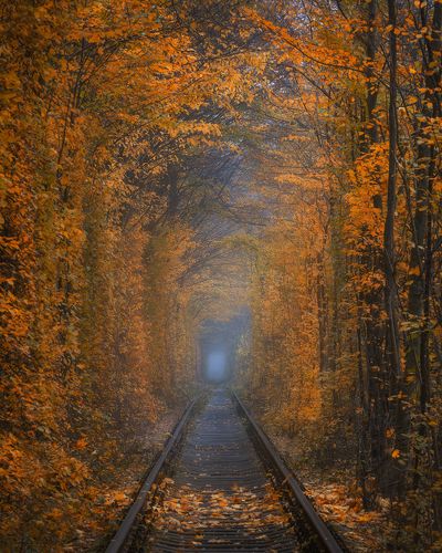 Осень в