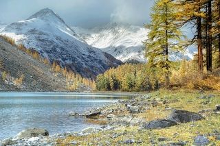 осенняя Шавла