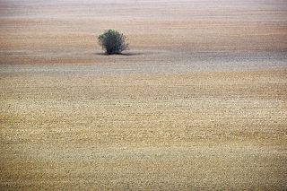 Autumn 2018