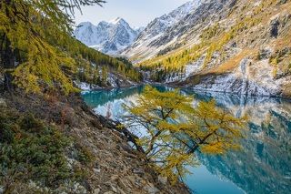 узоры осени
