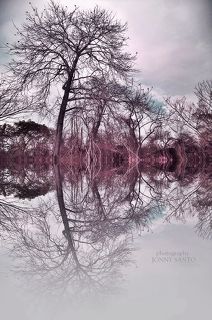 Reflections