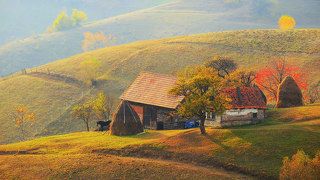 Autumn 2018