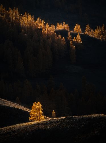 В свете осени...